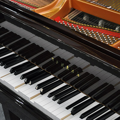 Yamaha DC1M4 3.jpg